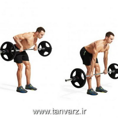 زیر بغل هالتر خم